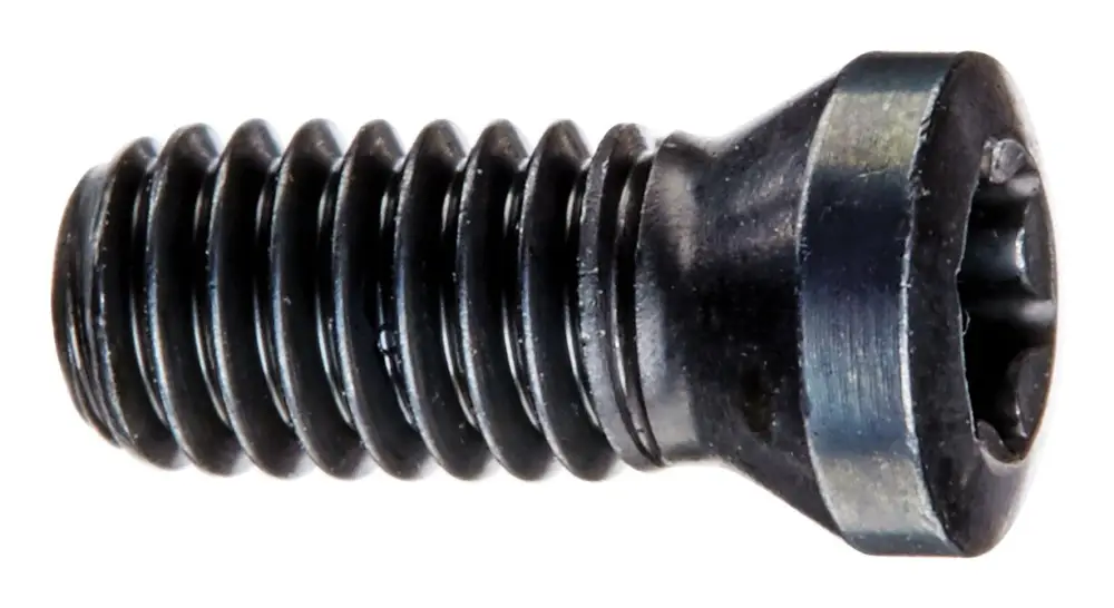 Echt Fortis Spannschraube für Wendeschneidplatte M4 x 10,5 T20 (Verpackungseinheit 10 Stück)