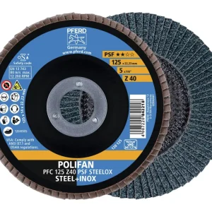 Pferd Fächerschleifscheibe Z120PSF gerade 125 mm K120 Sichere Zahlung