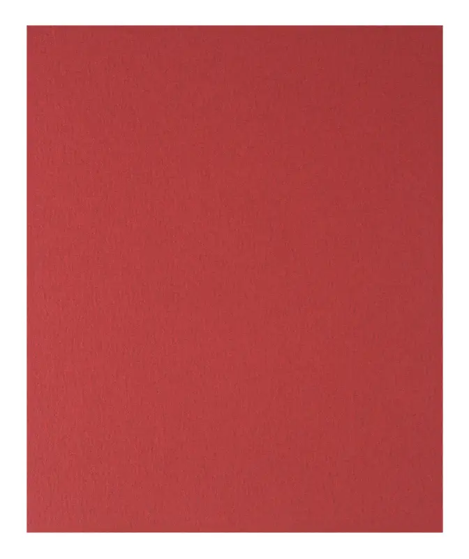 Neue Ware Bosch Zubehör Handschleifpapier Holz und Farbe, 230 x 280 mm, P180 (Verpackungseinheit 50 Stück)
