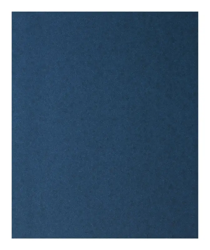 Bosch Zubehör Handschleifpapier Metall, 230 x 280 mm, P120 - 1er Pack (Verpackungseinheit 50 Stück) Online Kaufen