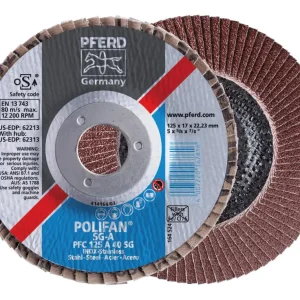 Pferd Fächerschleifscheibe A 80SG 115 mm K 80 gerade Preis Gesenkt