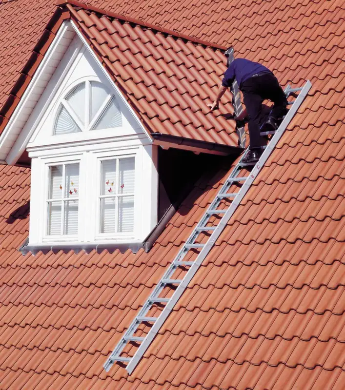euroline Dachauflegeleiter PREMIUM RAL 8014 Alu 14 Sprossen Billig