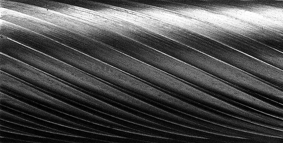 Neu procut Hartmetallfrässtift Tropfenform TRE E30306-2