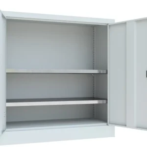 Top-Preis Pavoy Flügeltürenschrank mit Vollblechtüren 1000 x 1000 x 400 mm - 2 Fachböden verzinkt - RAL 7035